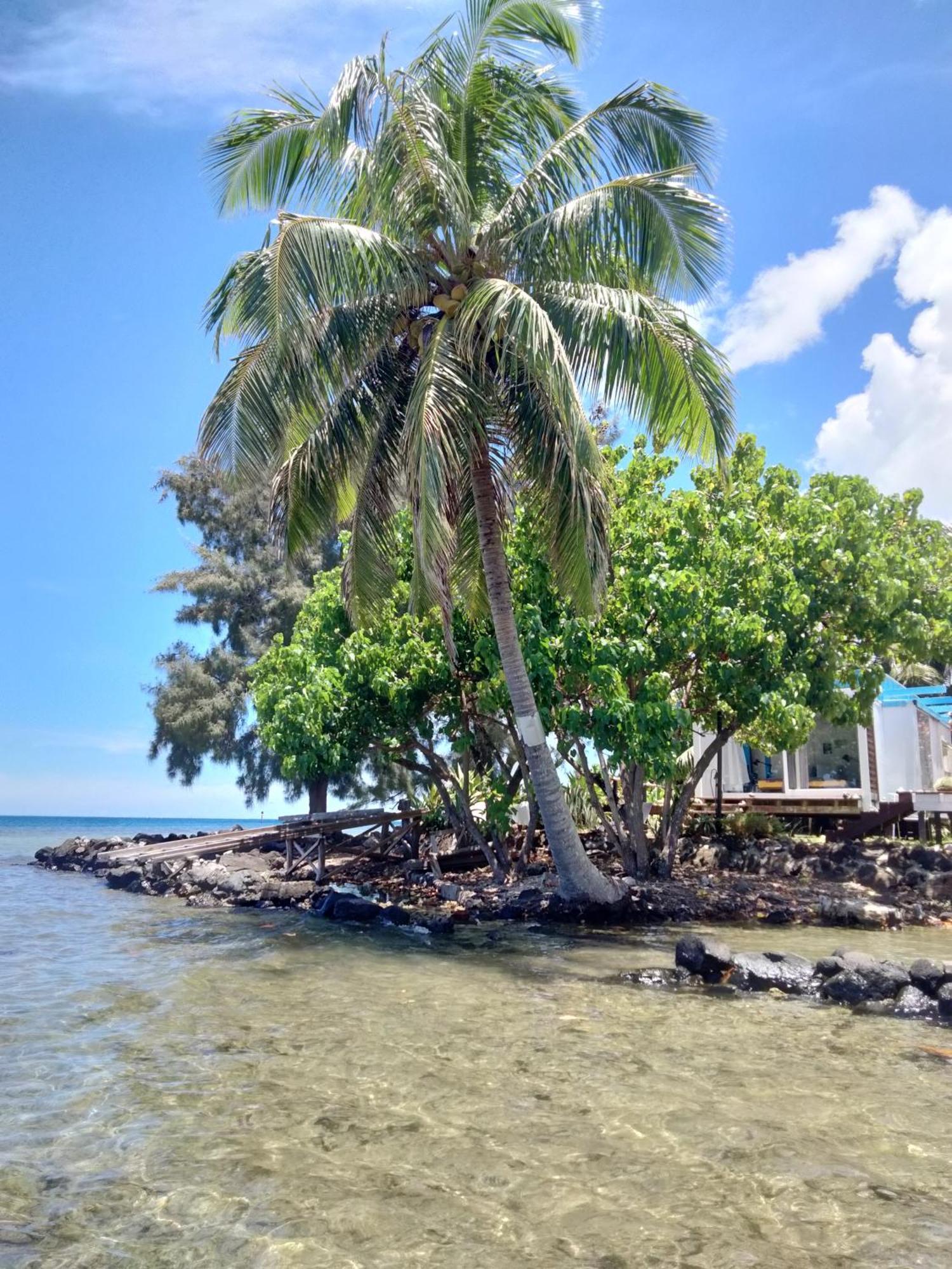 Bungalow Vue Lagon 180 Degre, La Maison Bleue Moorea Exterior photo